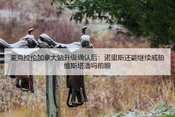 麦克拉伦加拿大站升级确认后：诺里斯还能继续威胁维斯塔潘吗前瞻